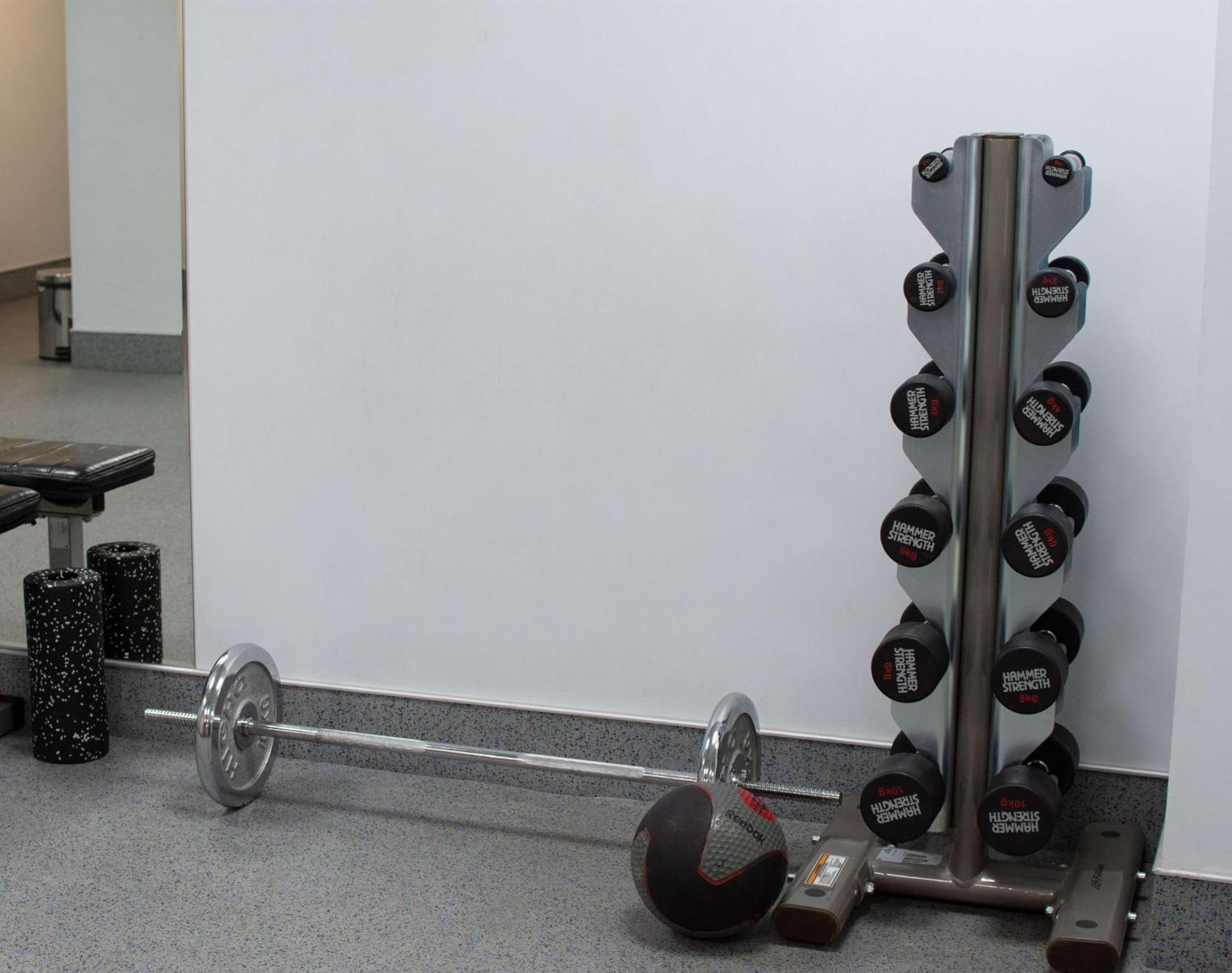 Radisson Blu Hotel Yerevan Exterior photo Dumbbell rack